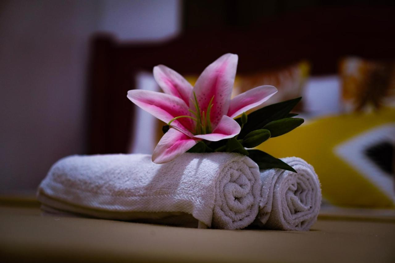 Amparo'S Tourist Inn - Đảo Coron Ngoại thất bức ảnh